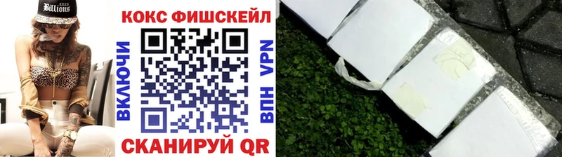 COCAIN Эквадор  купить закладку  Исилькуль 