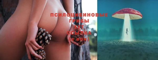 гидропоника Володарск