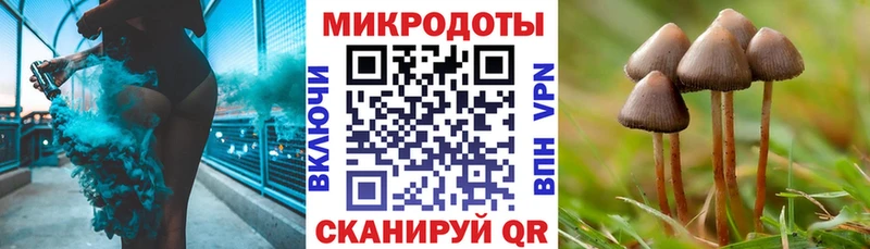Галлюциногенные грибы прущие грибы Исилькуль